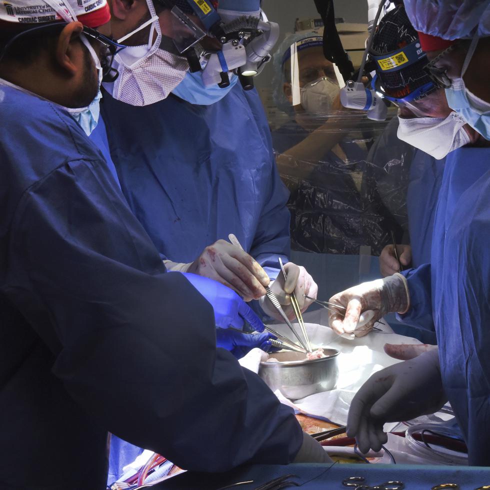 Miembros del equipo de cirugía trasplantan un corazón de cerdo al paciente David Bennett, el viernes 7 de enero de 2022, en Baltimore.