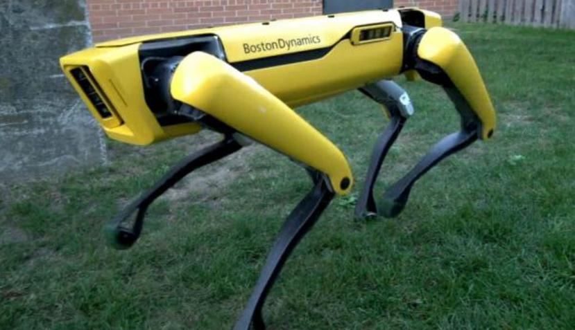 El robot SpotMini tiene la estabilidad de un cuadrúpedo y la habilidad de un bípedo. (Boston Dynamics)