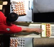 En Puerto Rico solo quedan 8 productores de huevos, cuando hace tres décadas eran más de 40 y hubo un tiempo en el que llegaron a ser 70 en todo el país.