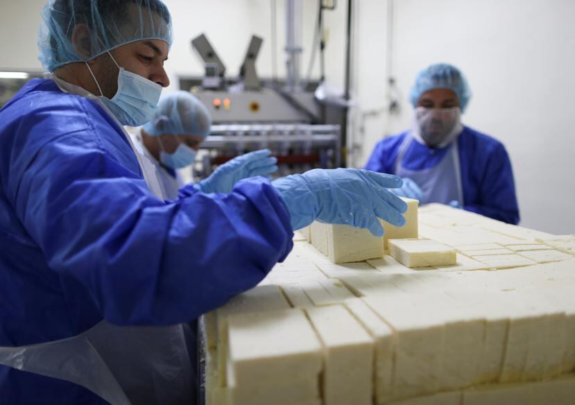 El queso blanco del país Indulac está siendo exportado a los mercados de Nueva York y Florida.