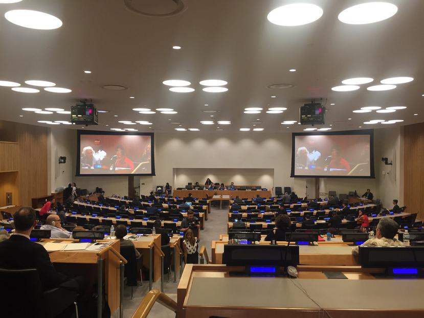 Imagen de la asamblea del Comité de Descolonización de la ONU cuando se reunió ayer para atender el caso de Puerto Rico.
