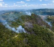 Vista aérea de algunos de los incendios forestales registrados en el Bosque Nacional de Maricao a principios de marzo.