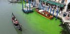 Una góndola navega por el histórico Gran Canal de Venecia, manchado por un líquido verde, el domingo 28 de mayo de 2023. La policía investiga la fuente de dicho líquido. (Foto AP/Luigi Costantini)