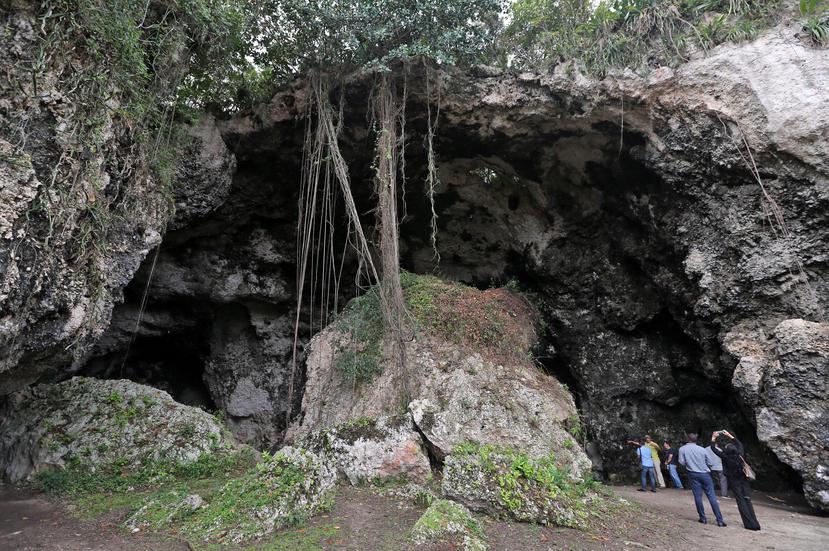 La cueva María de la Cruz, en Loíza, se considera única en Puerto Rico y el Caribe porque, en lugar de murciélagos, está poblada de abejas.