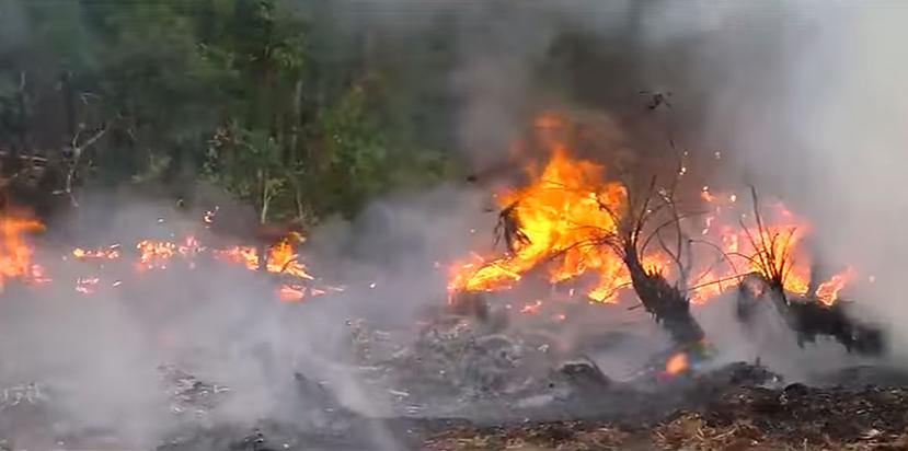 Uno de los condados más afectados recientemente por los incendios forestales es el de Pasco. (Imagen tomada del vídeo)