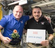 Los astronautas Scott Kelly y Mikhail Kornienko. (AP)