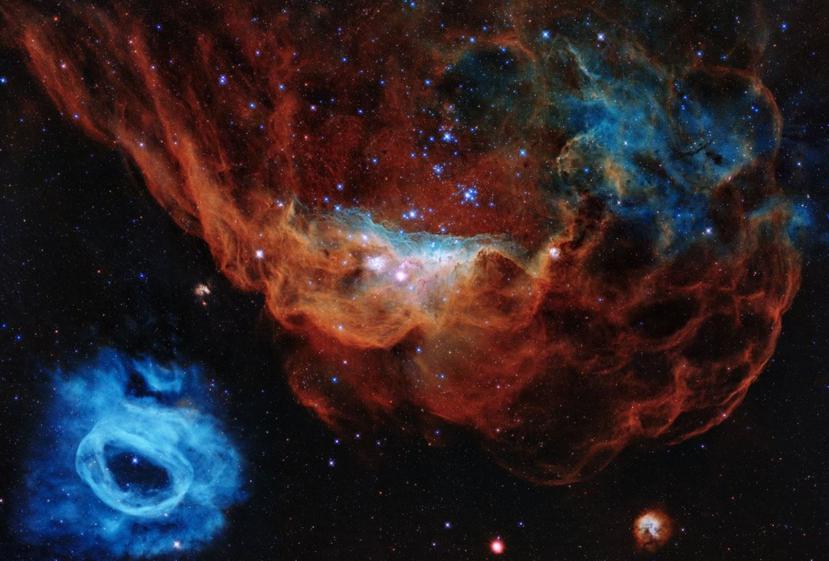 La imagen muestra la nebulosa gigante NGC 2014 y su vecina NGC 2020. (NASA)