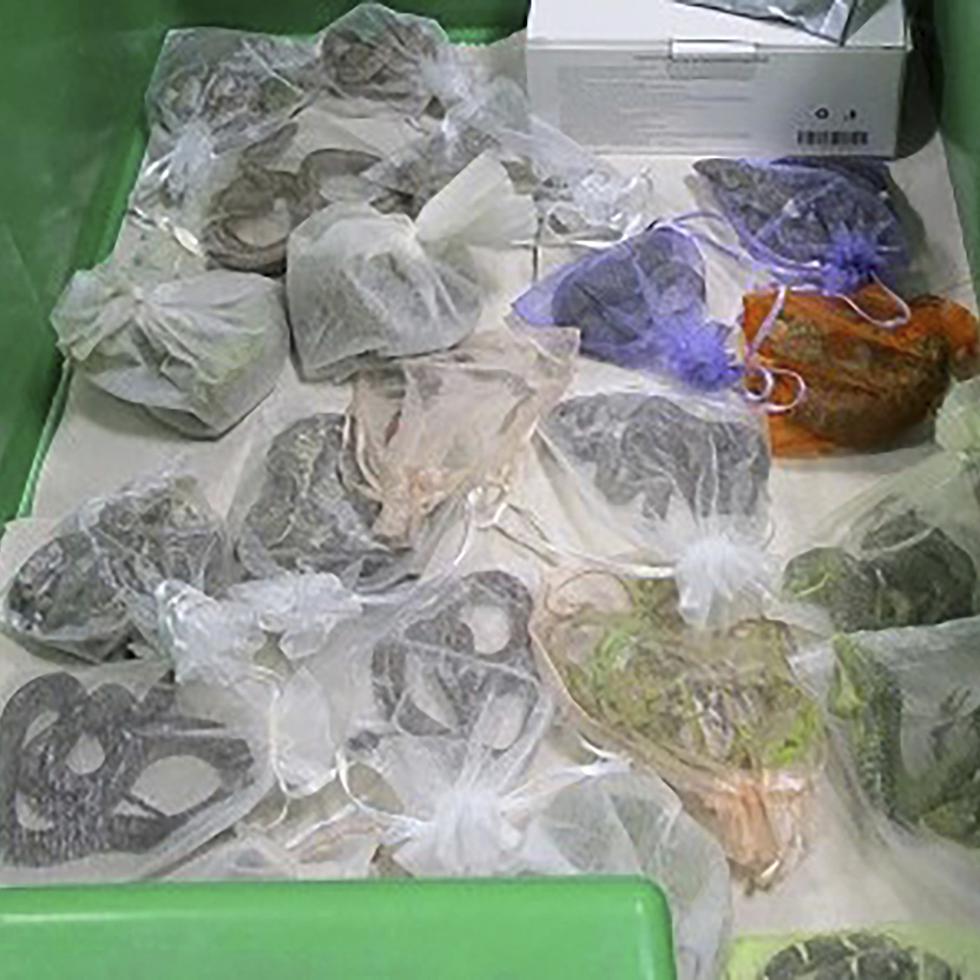 En esta imagen tomada en febrero de 2022 y distribuida por la Oficina de Aduanas y Protección Fronteriza de Estados Unidos, se ven serpientes dentro de bolsas que fueron encontradas bajo la ropa de un hombre en el puerto de entrada de San Ysidro, California.
