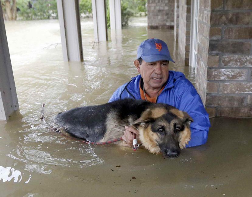 Joe García carga a su perra Heidi al ser rescatado de su residencia inundada en Spring, Texas. (AP)