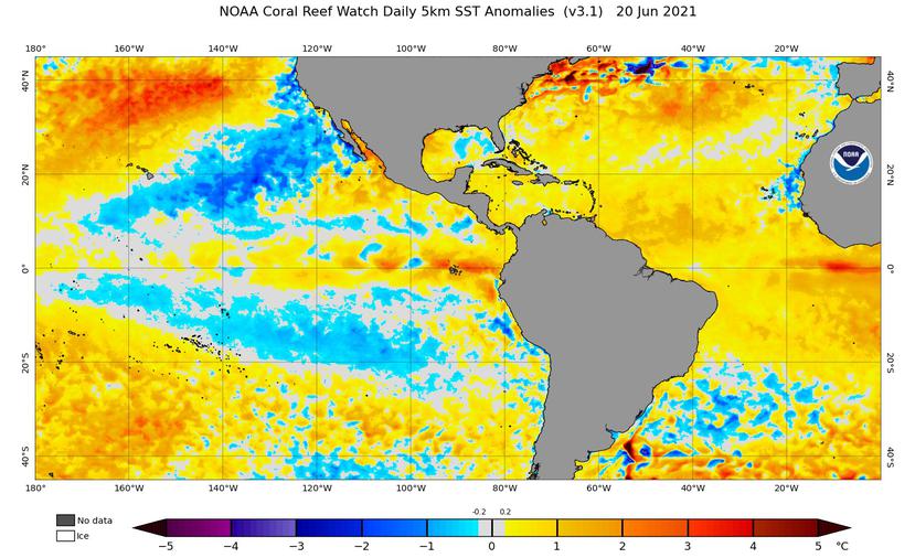 Análisis actual de anomalías de temperaturas del océano. Colores amarillos y rojos representan temperaturas más altas de lo normal, y los azules más fríos de lo normal.