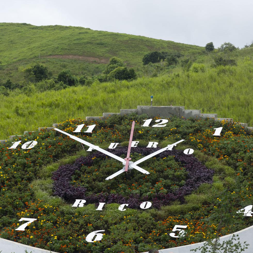 El reloj exhibe flores que no mueren y se mantienen florecidas.