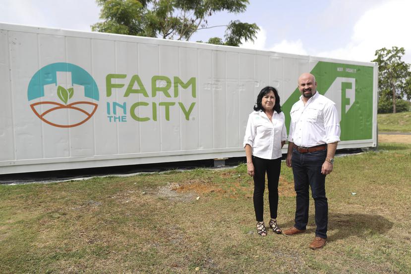 Carmen Ildefonso es agricultora hidropónica,  y su hijo, Héctor Pomales, experto en energía renovable, y  juntos crearon el concepto de Farm in the City.
