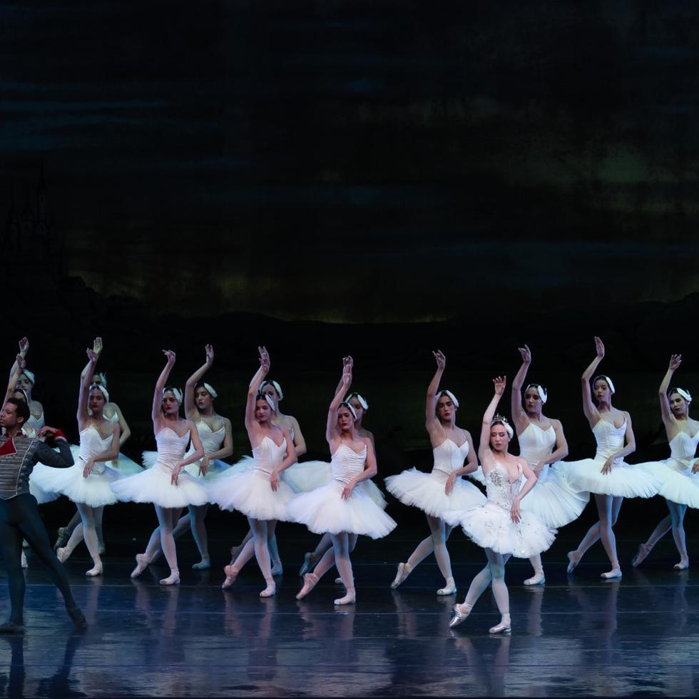 En la pasada puesta en escena de “El lago de los cisnes”, el cuerpo de baile, compuesto por bailarinas de la compañía y del taller, lucieron perfectamente sincronizadas, y añadieron el marco de armonía y equilibrio que requirió la difícil coreografía.