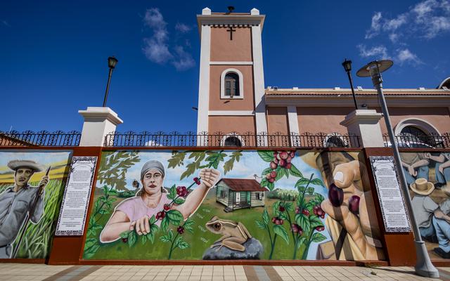 Alcalde de San Sebastián invita a explorar la “Cuna de la Hamaca”     