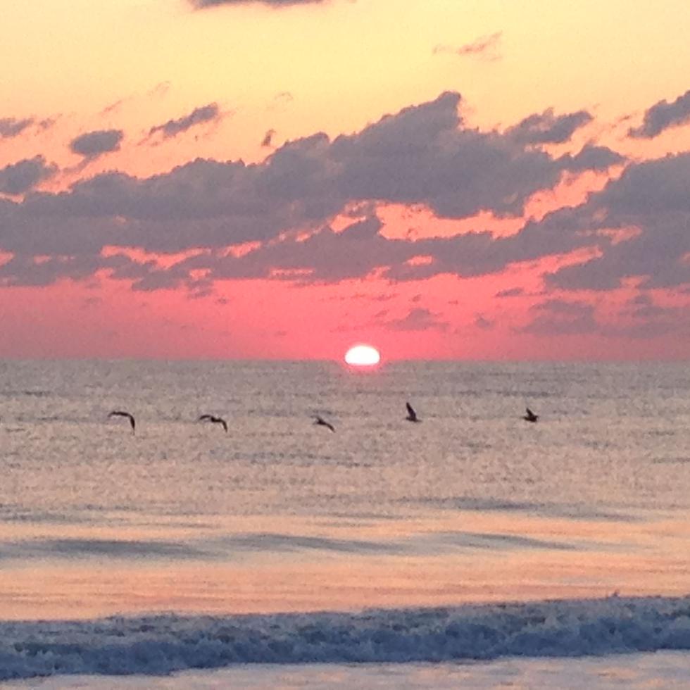 Hermosa puesta de sol en Vero Beach y de los pelícanos que se pueden ver en la zona.