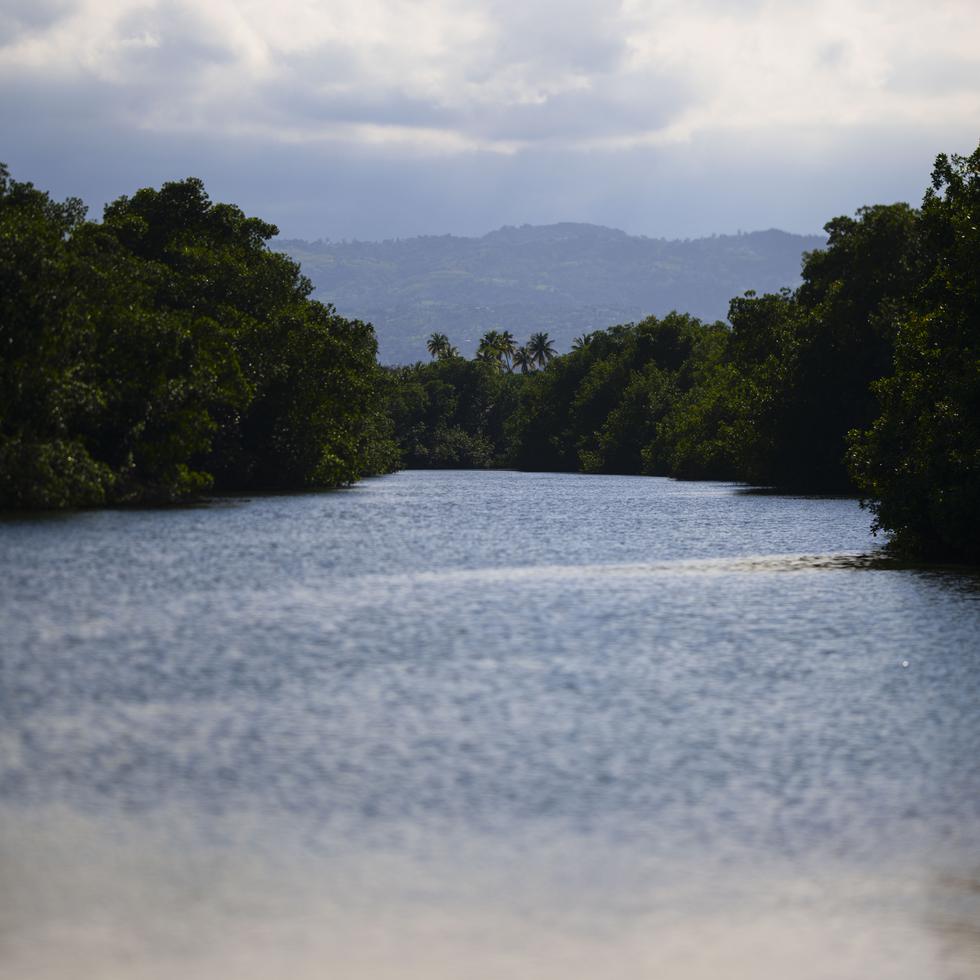 La Fundación Alma de Bahía lleva a cabo un trabajo de investigación en el río Espíritu Santo, en Río Grande, con miras al desarrollo de prácticas de sostenibilidad y conservación ambiental.