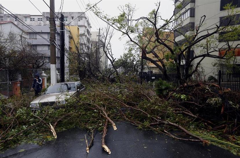 An image of a car hit by trees ripped by hurricane María in San Juan area. (EFE)