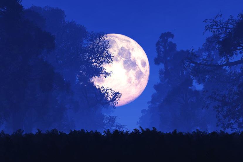 Superluna en una imagen 3D. (Shutterstock)