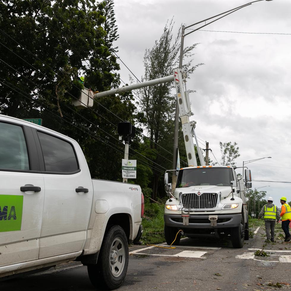 Empleados y subcontratados de LUMA Energy realizan trabajos de desganche tras el paso del huracán Fiona.