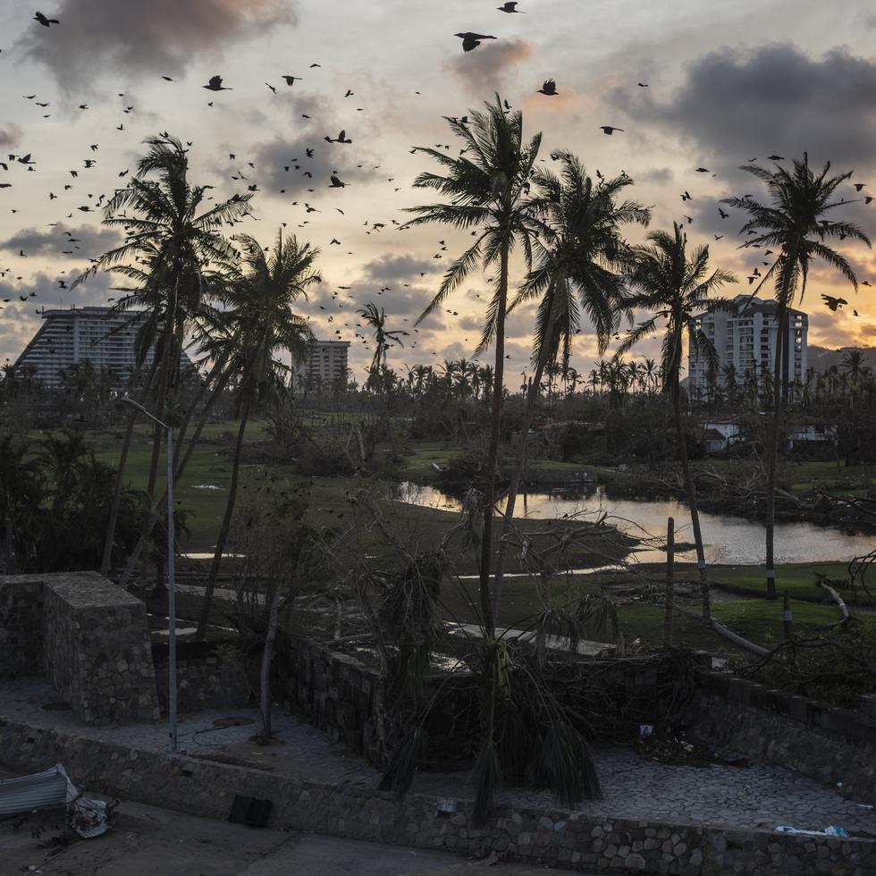 Los pájaros vuelan sobre los escombros después del paso del huracán Otis en Acapulco, México, el sábado 28 de octubre de 2023. (Foto AP/Félix Márquez)