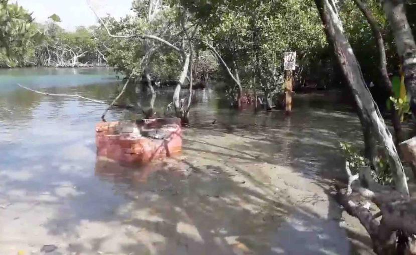 Un ciudadano capturó en vídeo cómo el agua ahora está en un área donde se podía caminar libremente en la isla de Gilligan. (Captura)