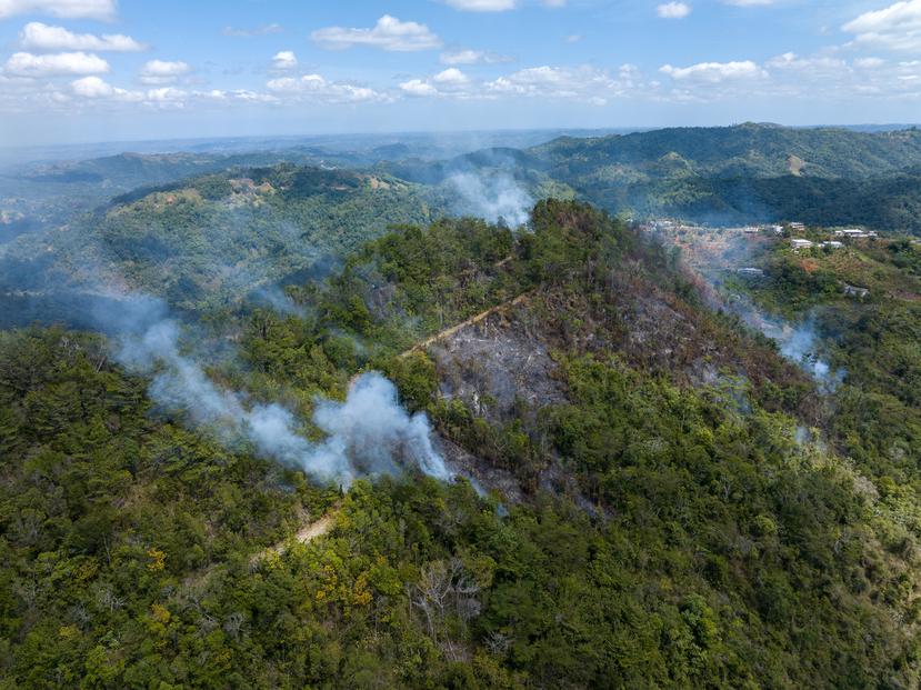 Vista aérea de algunos de los incendios forestales registrados en el Bosque Nacional de Maricao a principios de marzo.