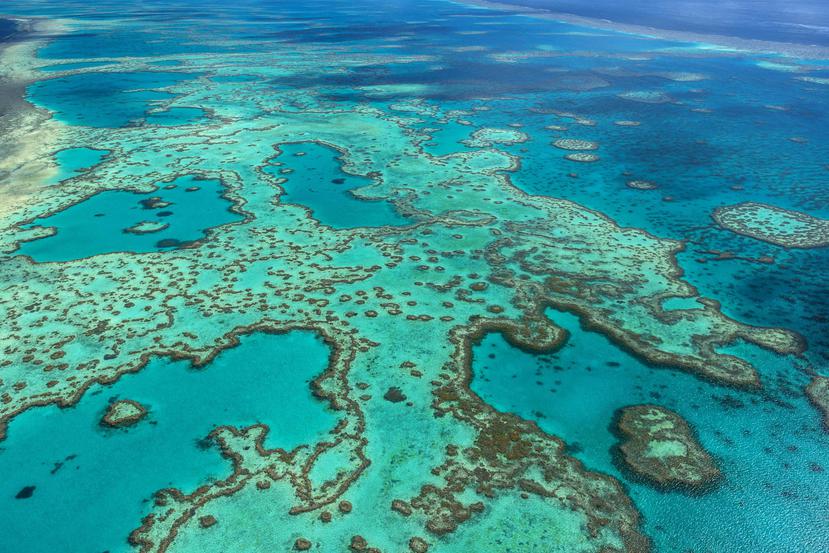 Vista aérea de la Gran Barrera de Coral. (EFE)