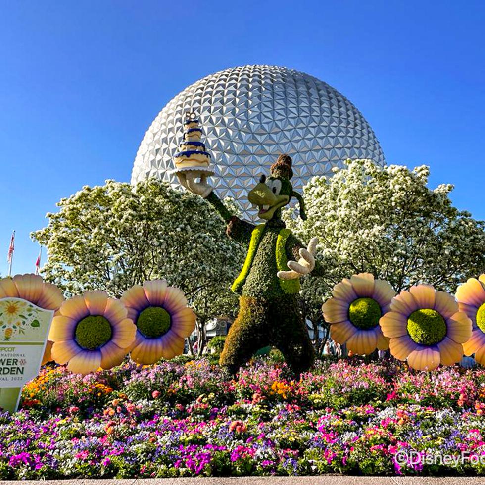 El Festival Internacional de Flores y Jardines de Epcot, en Disney World, es un evento anual con bellos topiarios ytoques de fantasía que personifican a los queridos personajes de Disney.
