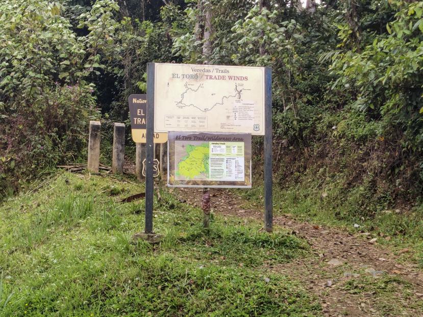 Comienzo de la ruta El Toro de El Yunque