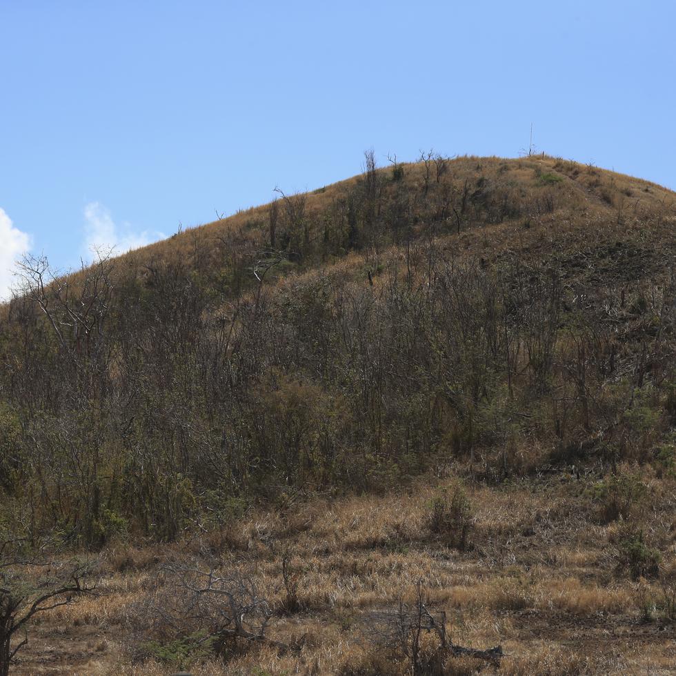 Vista de un terreno con condiciones secas al sur de Puerto Rico.