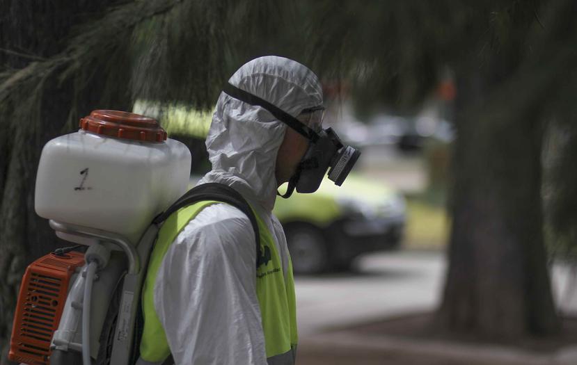 Técnicos del Gobierno de la Ciudad de Buenos Aires fumigan contra el mosquito transmisor del dengue y del zika.