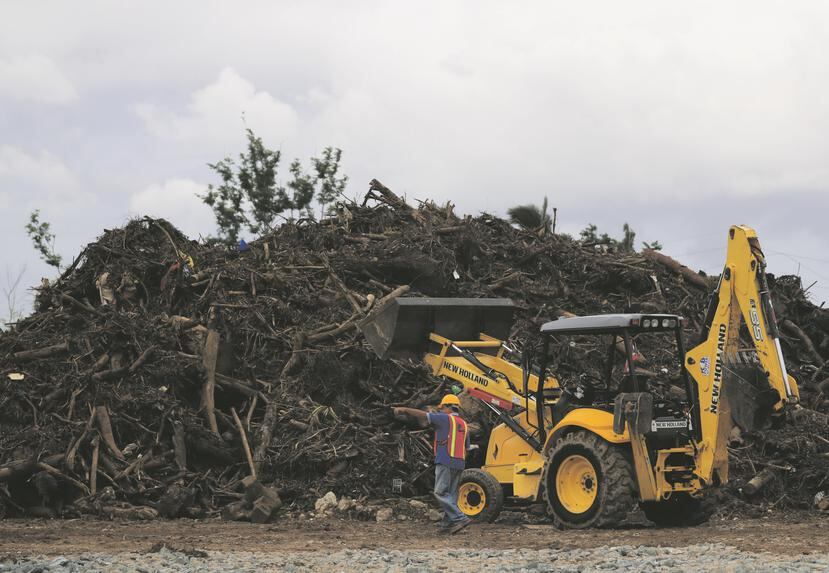 Una compañía contratada por el Cuerpo de Ingenieros de Estados Unidos maneja un área en la carretera PR-199, en Guaynabo, designada para el depósito de escombros vegetativos.