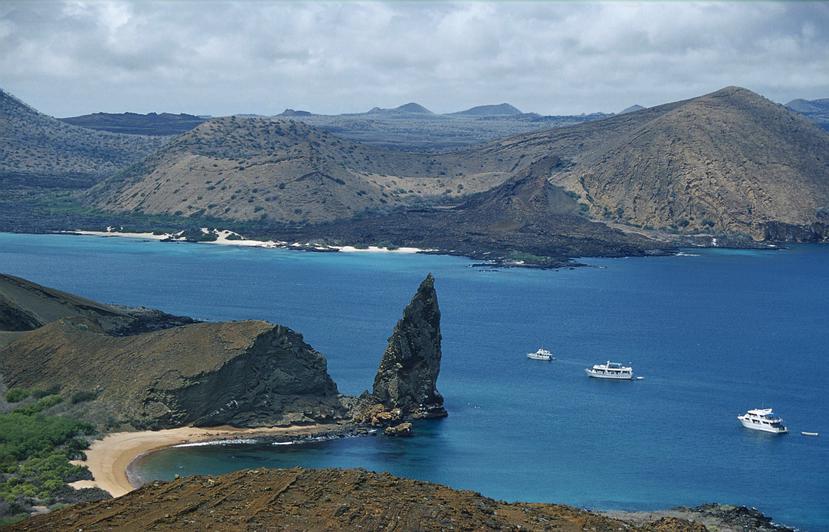 Un total de 1.579 especies terrestres y marinas han sido introducidas en Galápagos, entre ellas 821 plantas terrestres, 545 insectos terrestres y 77 invertebrados terrestres, entre otros.
