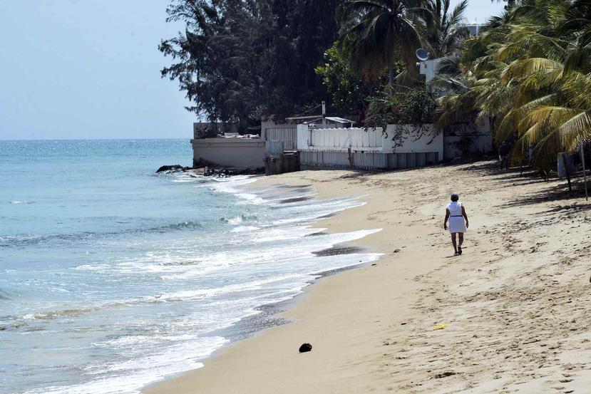 En las playas de Santurce hay una barrera natural contra las marejadas y la erosión, que sirve de criadero a diversas especies y de área de protección para aquellas amenazadas o en peligro de extinción.
