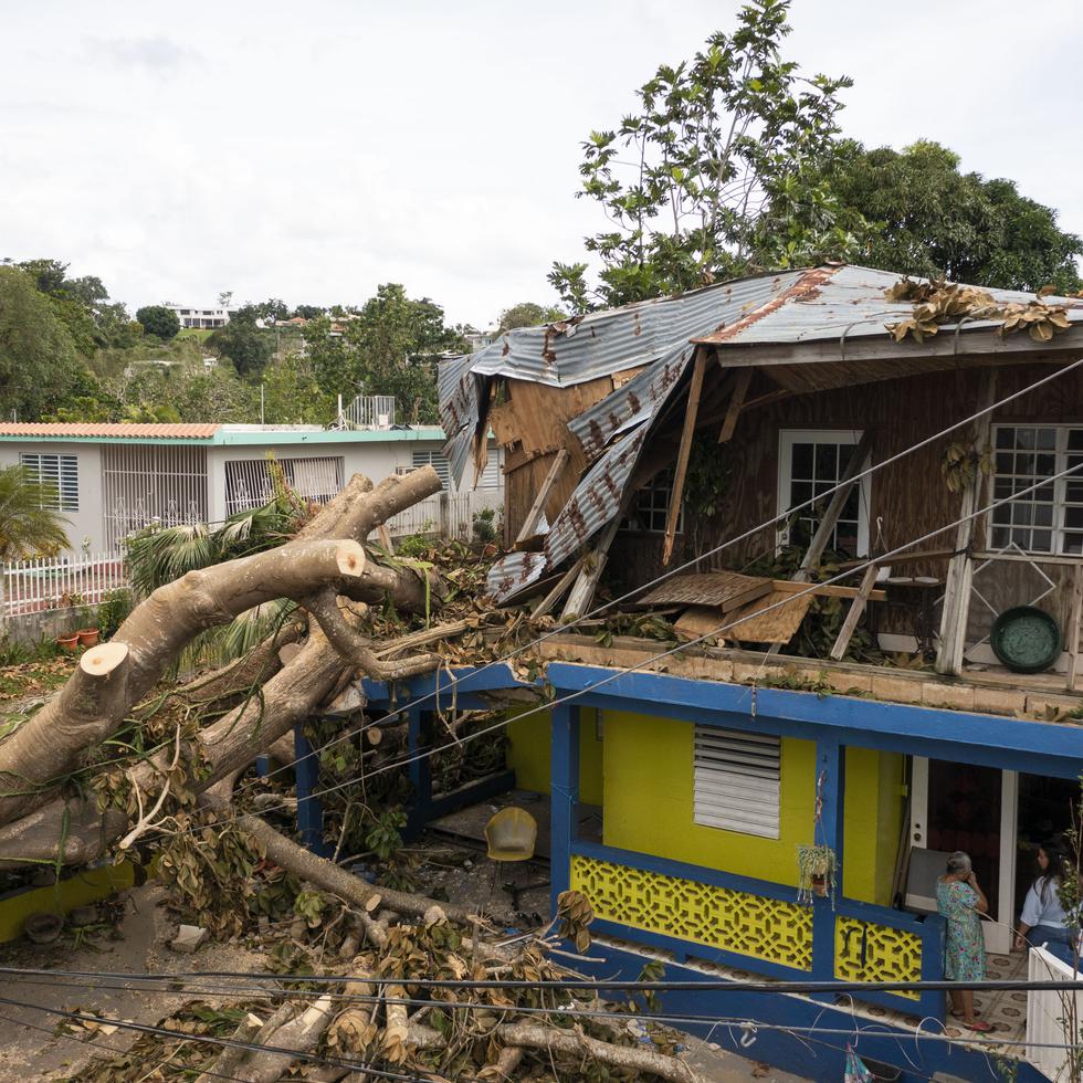 MAYAGUEZ, PUERTO RICO - SEPTIEMBRE 23: Huracan Fiona. Arbol cae sobre casa en Las Parcelas Soledad.  Foto: Alejandro Granadillo