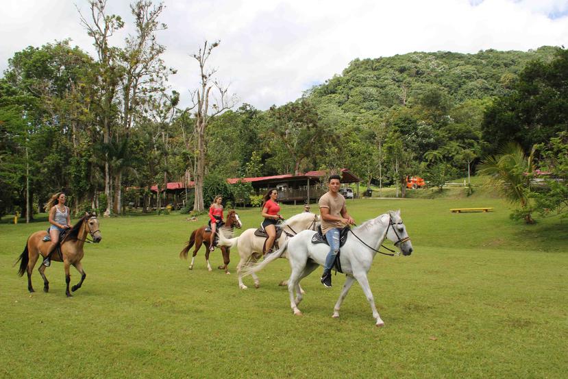 Paseos a caballo en el Parador Villas de Sotomayor, en Adjuntas. (Archivo GFR Media)