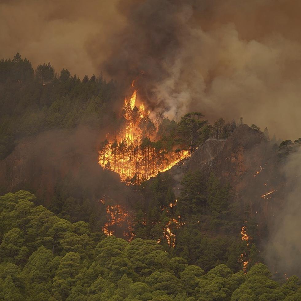 El fuego arde en una zona boscosa cerca del poblado de El Rosario, mientras un incendio forestal afecta Tenerife, en las Islas Canarias.