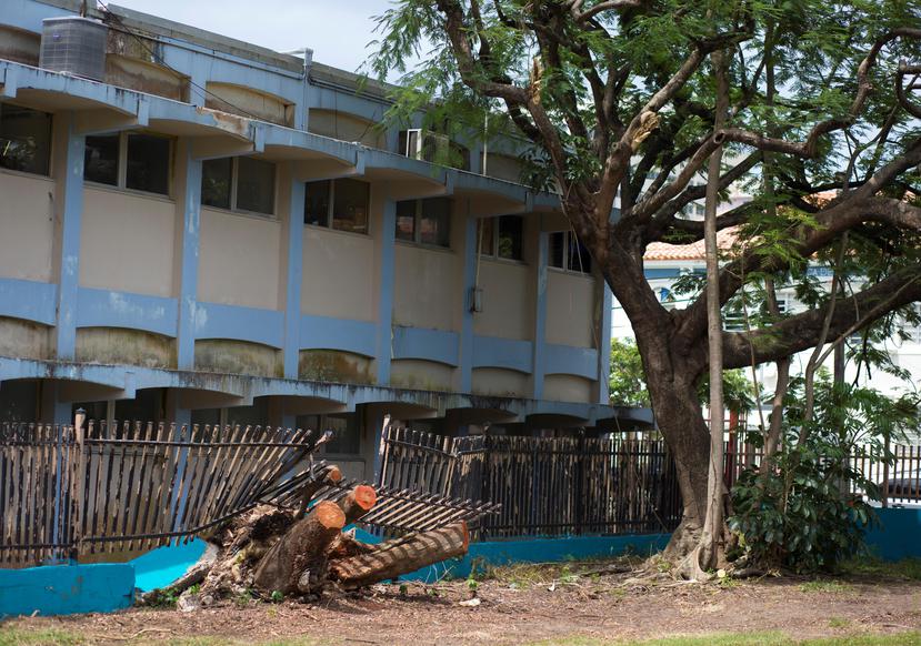 Las ramas de un árbol destrozaron parte de la verja del centro educativo, que tiene una matrícula de 174 estudiantes.