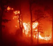 En esta foto distribuida por el Departamento de Protección Ambiental de Nueva Jersey, un incendio de 15 kilómetros cuadrados arde en Nueva Jersey.