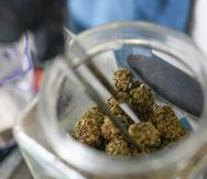 La legislación establecería un impuesto de 5% sobre las ventas al detal de cannabis. Ese porcentaje aumentaría a 8% en tres años.