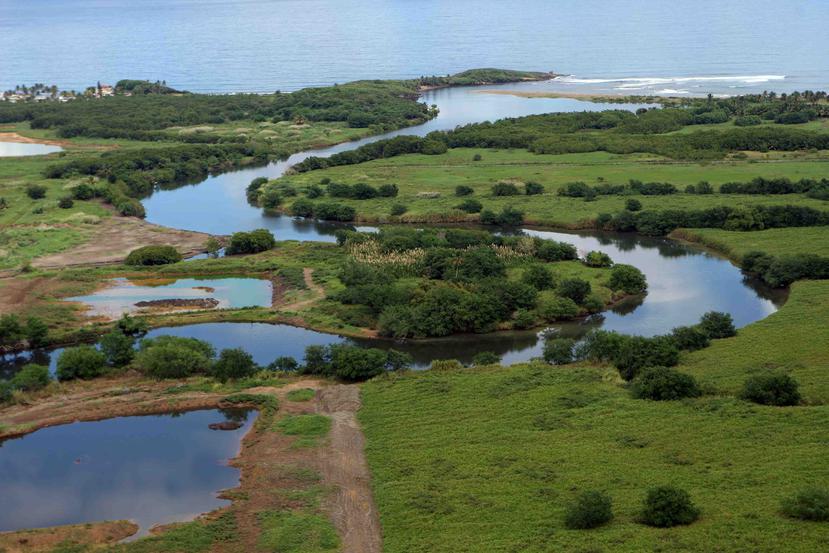Desembocadura del río La Plata por Dorado. (GFR Media)