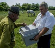 Antal Matyus (izquierda) vota mientras el funcionario electoral Bela Deak sostiene una urna móvil durante las elecciones para el Parlamento Europeo en su granja en Szentkiraly, Hungría, el domingo 26 de mayo de 2019. (Sandor Ujvari / MTI vía AP)