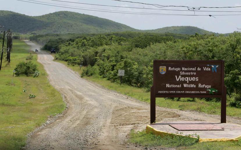 Negotiations would exclude Vieques's military areas.