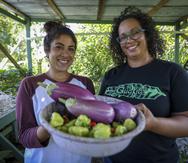 Desde la izquierda, Stephanie Monserrate y Marissa Reyes, agricultoras y socias en el proyecto agroecológico finca Güakiá, en Dorado.