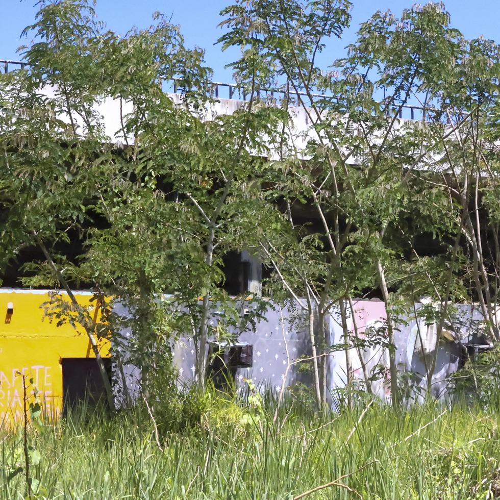 Las instalaciones de la Ciudad Deportiva Roberto Clemente en Carolina siguen abandonadas.
