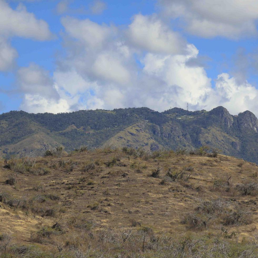 Imagen de archivo que muestra el área montañosa entre Cayey y Salinas bajo condiciones de sequía.