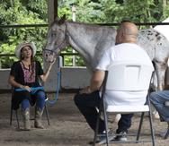 Entre los servicios que ofrece la Fundación Carrusel, están la equitación terapéutica e hipoterapia; psicoterapia y aprendizaje asistido con caballos y naturaleza, equinoterapia social y aprendizaje en la naturaleza.