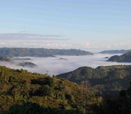 Imagen de la neblina que se aprecia durante la mañana en las montañas aiboniteñas.
