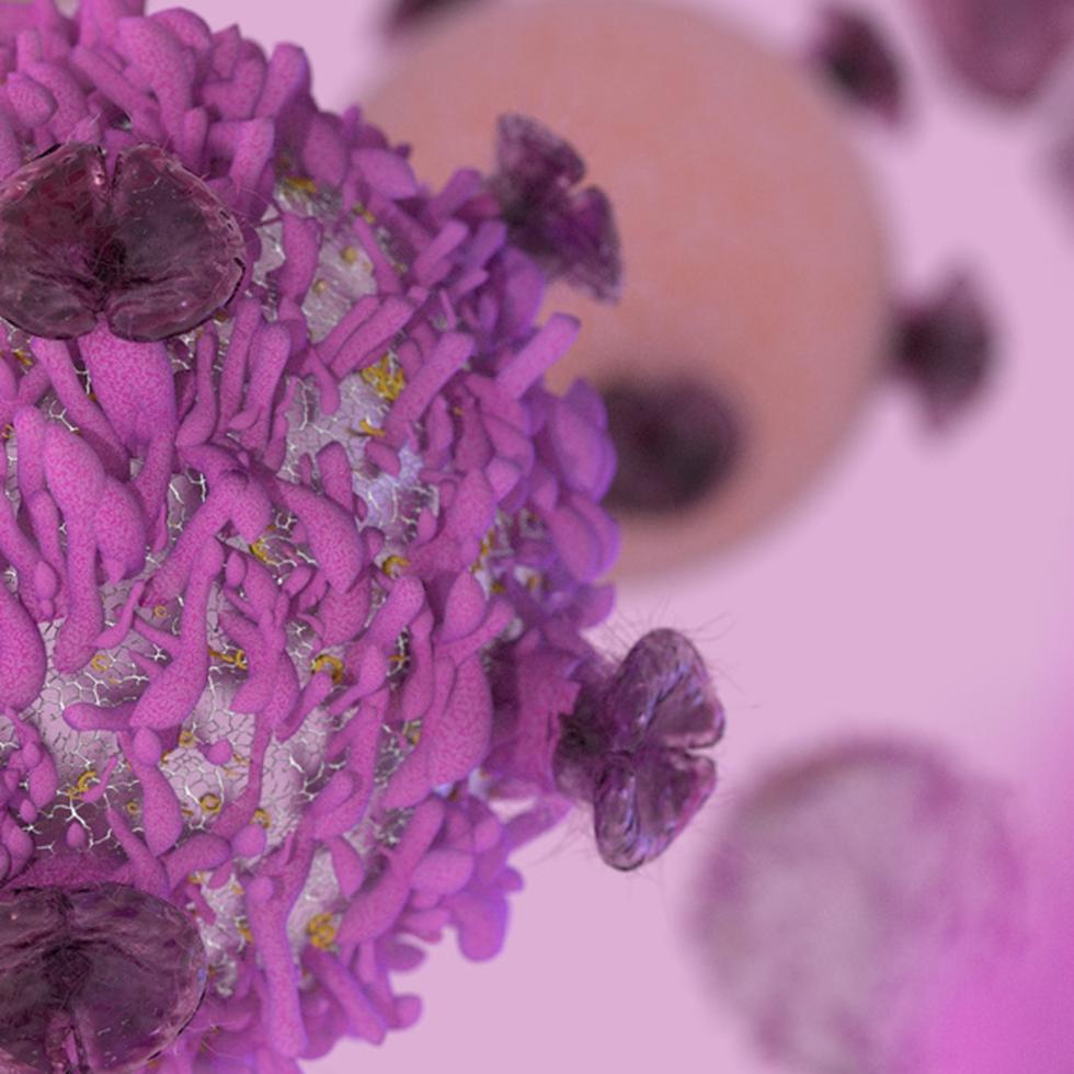 El descubrimiento ha hecho posible atacar las células cancerosas con inmunoterapia. (Shutterstock)