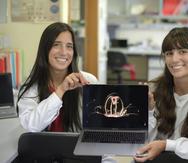 María Pascual y Dido Carrero, investigadoras de la Universidad de Oviedo y coautoras del estudio que ha descifrado el genoma de la medusa "inmortal".
